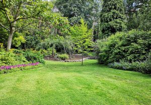 Optimiser l'expérience du jardin à Claveyson